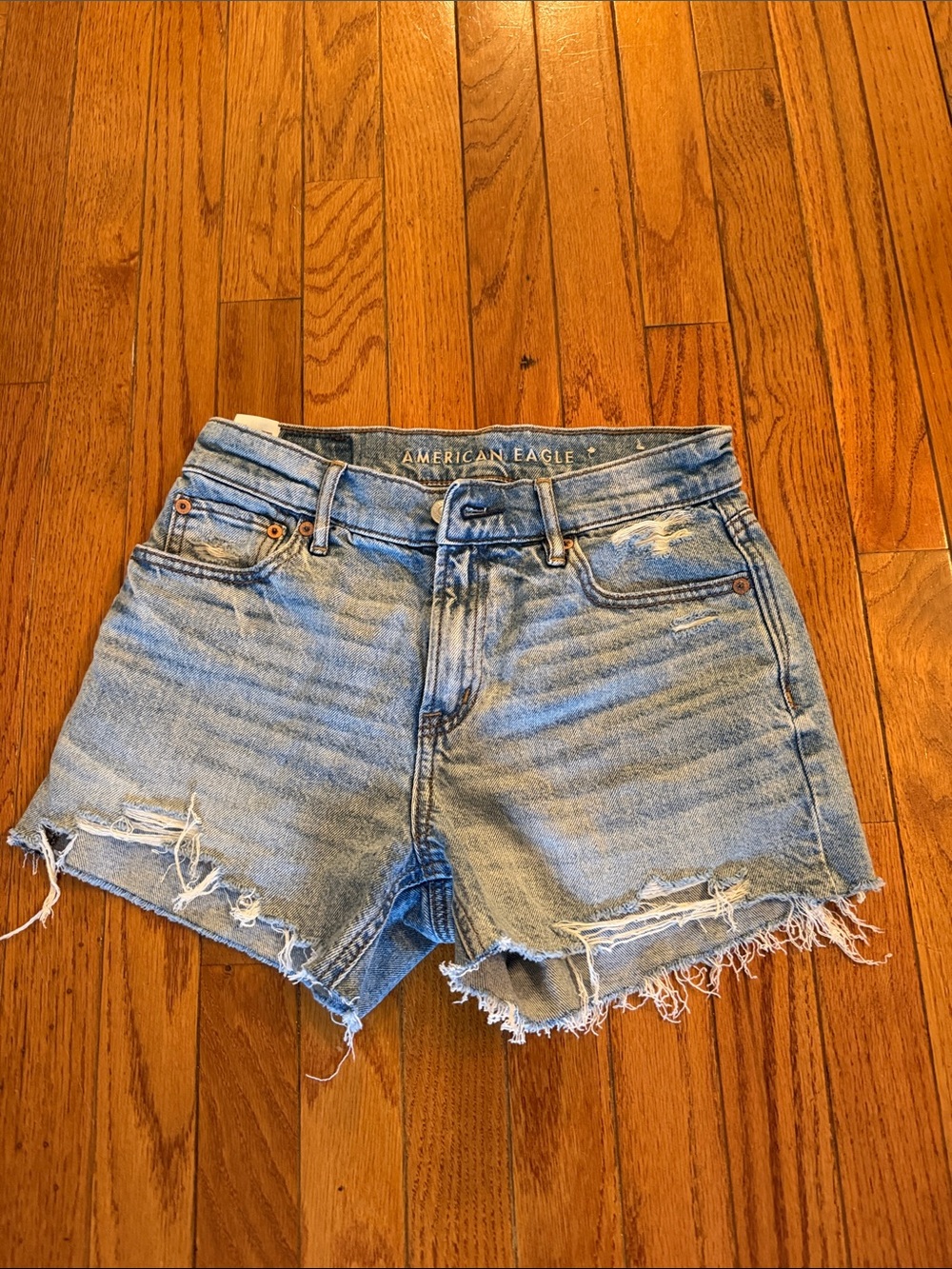 American Eagle Outfitters Light Blue Distressed Denim Cutoff Shorts